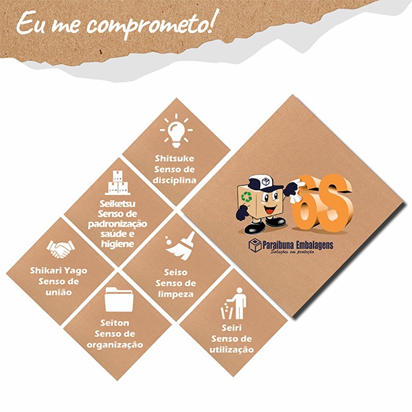 Paraibuna Embalagens Alcança Novo Marco com Programa 6S