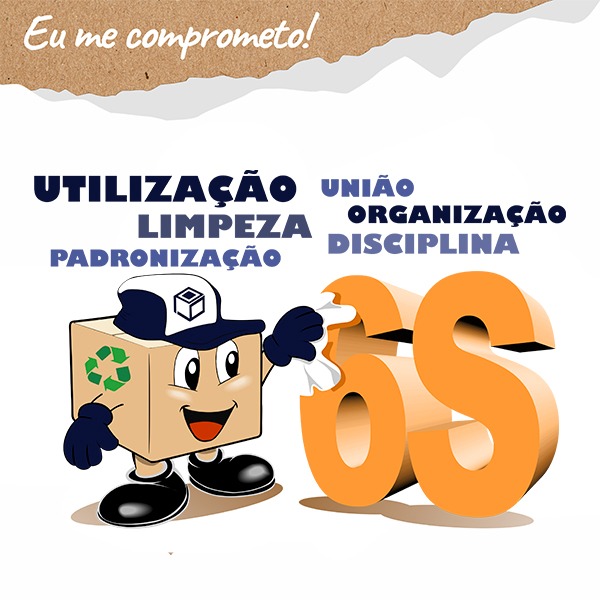 Paraibuna Embalagens Alcança Novo Marco com Programa 6S